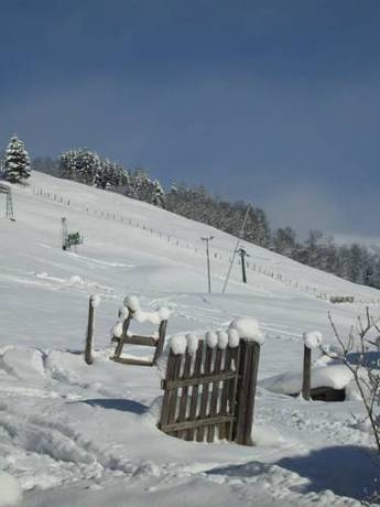 Imagen general del Hotel Hotel Garni Hanslerhof. Foto 47