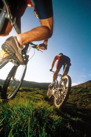 Imagen general del Hotel Hotel Garni Hanslerhof. Foto 49