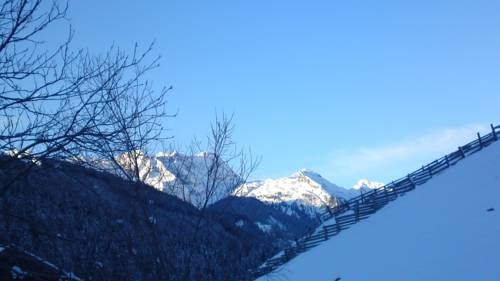 Imagen general del Hotel Hotel Garni Hanslerhof. Foto 54