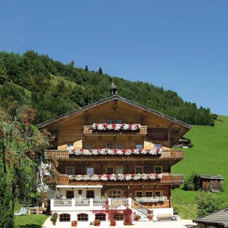 Imagen general del Hotel Hotel Garni Hanslerhof. Foto 56