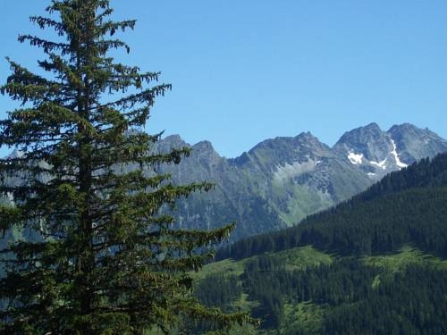 Imagen general del Hotel Hotel Garni Hanslerhof. Foto 58