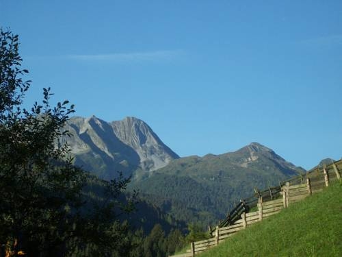 Imagen general del Hotel Hotel Garni Hanslerhof. Foto 59