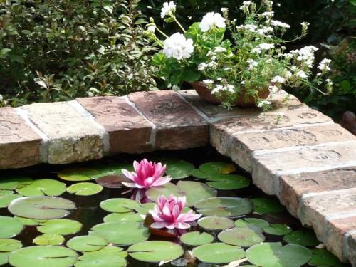 Imagen general del Hotel Hotel Garni Rosengarten. Foto 7