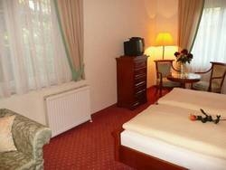 Imagen general del Hotel Hotel Garni Rosengarten. Foto 12