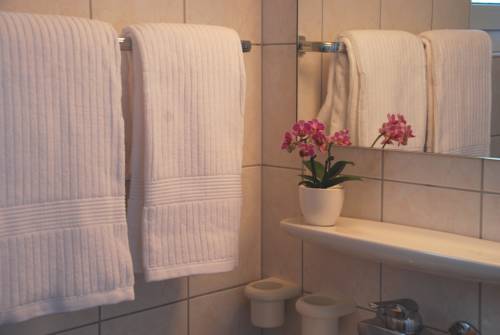 Imagen de la habitación del Hotel Hotel Garni R&ouml;ssli. Foto 7