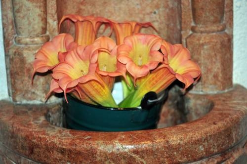 Imagen general del Hotel Hotel Garni Sonnhof. Foto 3