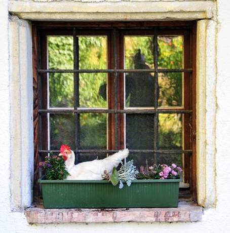 Imagen general del Hotel Hotel Garni Sonnhof. Foto 31