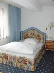 Imagen de la habitación del Hotel Hotel Garni Sursilva. Foto 55