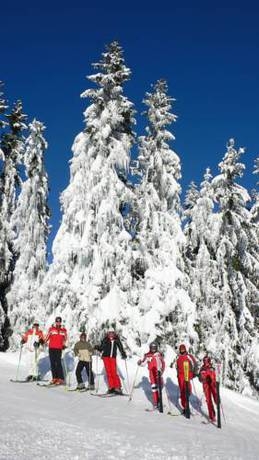 Imagen general del Hotel Hotel Gasthof Hirschenwirt. Foto 32