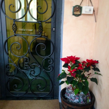 Imagen de los interiores del Hotel Hotel Giappone. Foto 14