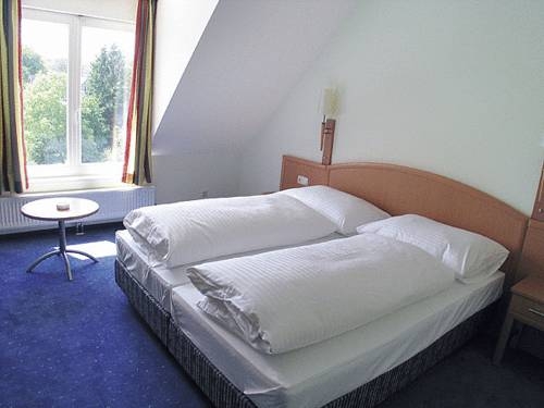 Imagen general del Hotel Hotel Goldener Adler. Foto 7