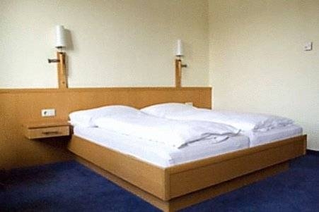 Imagen general del Hotel Hotel Goldener Adler. Foto 10