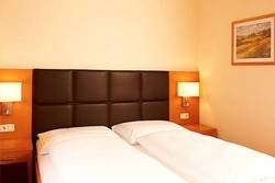 Imagen general del Hotel Hotel Goldener Adler. Foto 15