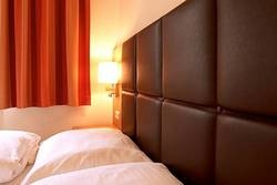 Imagen general del Hotel Hotel Goldener Adler. Foto 16