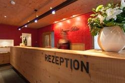 Imagen general del Hotel Hotel Grauer Bär. Foto 19