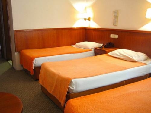 Imagen general del Hotel Hotel Guleryuz. Foto 7
