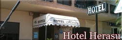 Imagen general del Hotel Hotel Herasu. Foto 1