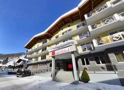 Imagen general del Hotel Hotel Herzblut Saalbach. Foto 17