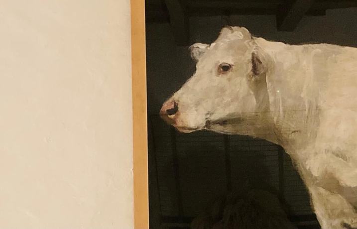 Imagen de los interiores del Hotel Hotel Hevresac. Foto 19