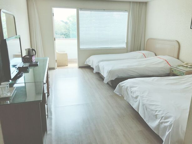 Imagen de la habitación del Hotel Hotel Honey Crown. Foto 13