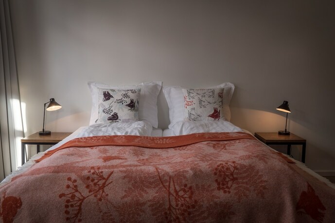 Imagen general del Hotel Hotel Horn. Foto 12