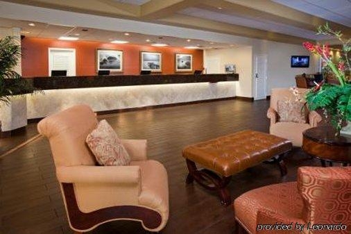 Imagen general del Hotel Hotel International Palms Resort. Foto 4
