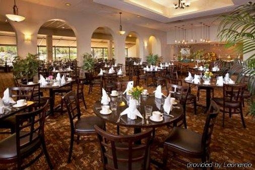 Imagen general del Hotel Hotel International Palms Resort. Foto 5