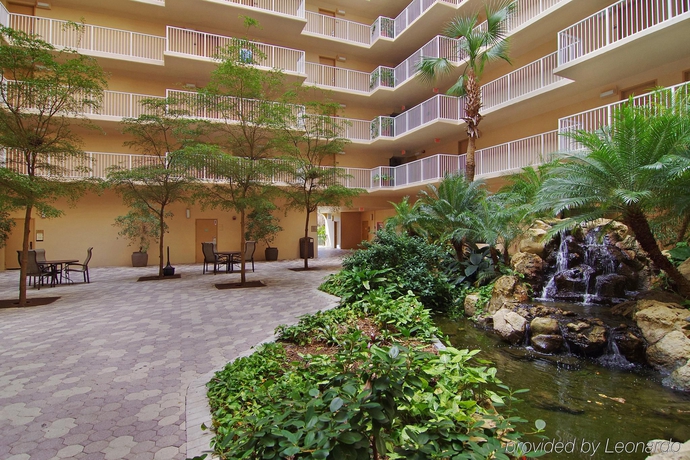 Imagen general del Hotel Hotel International Palms Resort. Foto 11