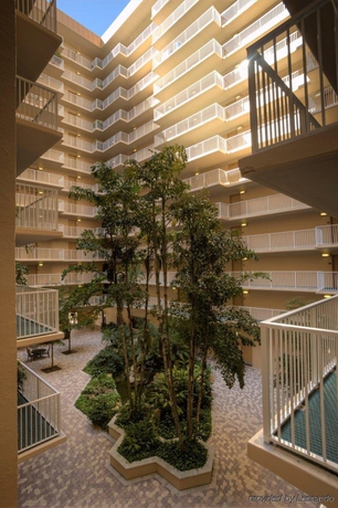 Imagen general del Hotel Hotel International Palms Resort. Foto 14