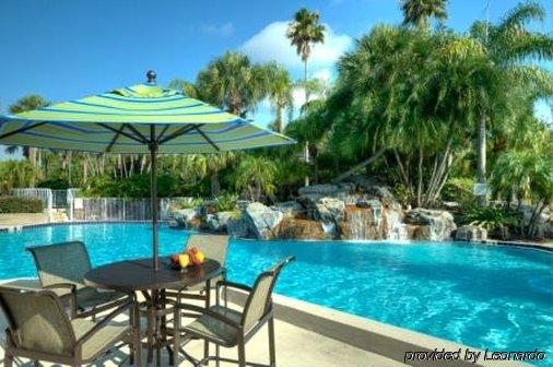 Imagen general del Hotel Hotel International Palms Resort. Foto 15