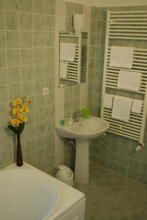 Imagen de los interiores del Hotel Hotel Iq Timisoara. Foto 5