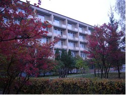 Imagen general del Hotel Hotel Izumrud. Foto 3