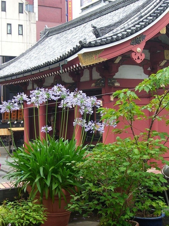 Imagen general del Hotel Hotel Kaminarimon. Foto 8
