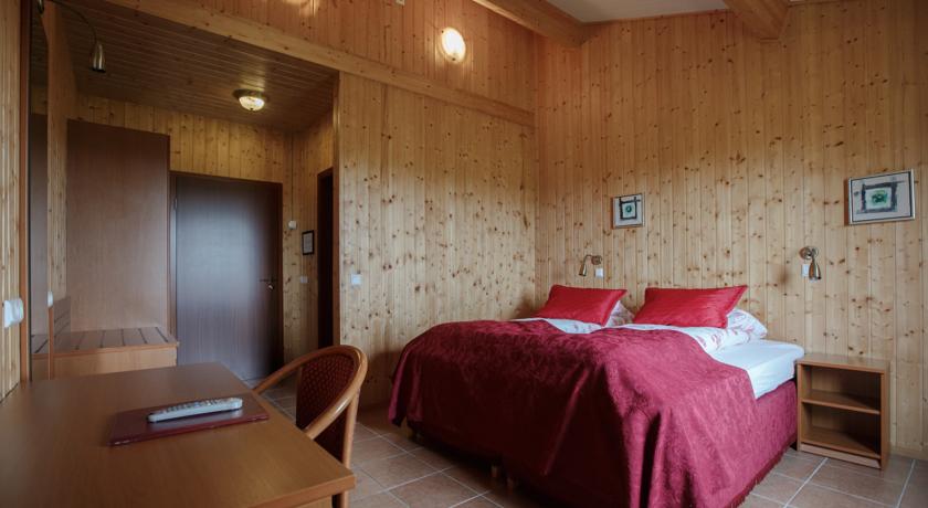 Imagen de la habitación del Hotel Hotel Katla By Keahotels. Foto 9