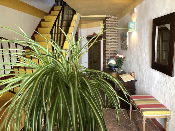 Imagen de los interiores del Hotel Hotel La Fructuosa. Foto 20