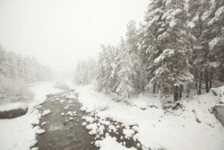 Imagen general del Hotel Hotel Laguna. Foto 3