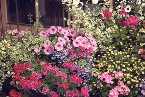 Imagen de la habitación del Hotel Hotel Leitenhof SUPERIOR. Foto 14