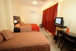 Imagen general del Hotel Hotel Lepark. Foto 14