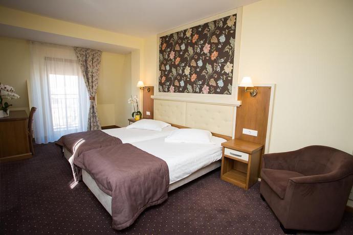 Imagen de la habitación del Hotel Hotel Leul De Aur. Foto 7