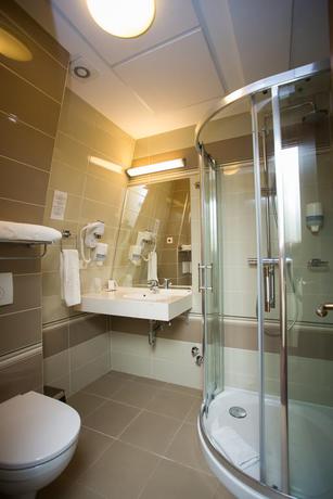 Imagen de los interiores del Hotel Hotel Leul De Aur. Foto 9