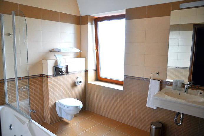 Imagen de los interiores del Hotel Hotel Leul De Aur. Foto 10