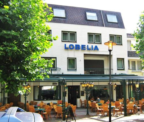 Imagen general del Hotel Hotel Lobelia. Foto 1