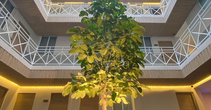 Imagen de la habitación del Hotel Hotel MX zócalo. Foto 16