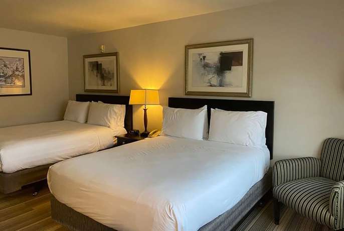 Imagen de la habitación del Hotel Hotel Marguerite Anaheim/Garden Grove, Trademark Collection. Foto 13