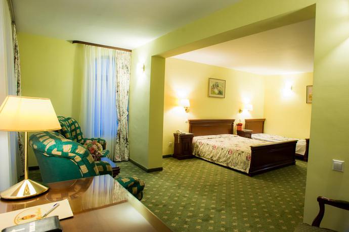 Imagen de la habitación del Hotel Hotel Maria, Botosani. Foto 2