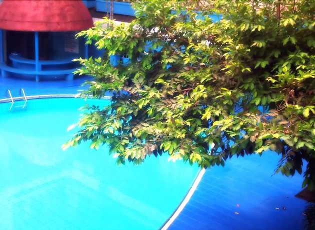 Imagen de la piscina del Hotel Hotel Mariat Sorong. Foto 20