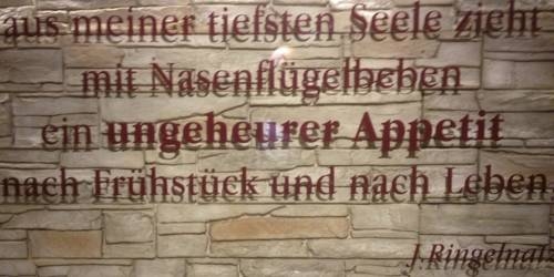 Imagen general del Hotel Hotel Markus Saalbach. Foto 8