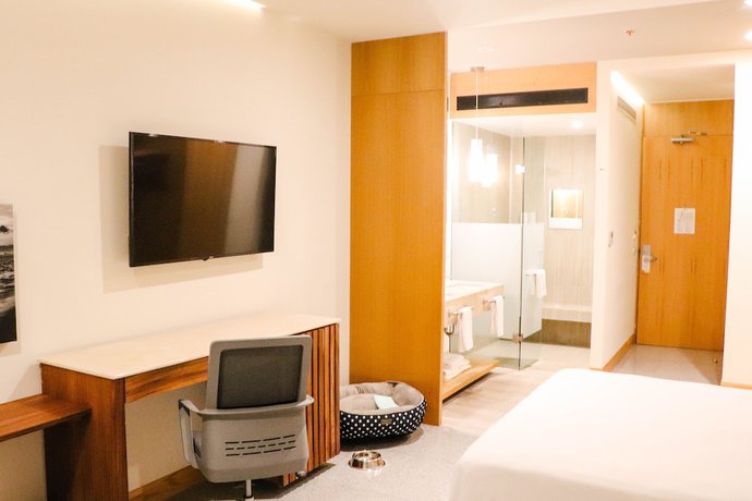 Imagen de la habitación del Hotel Hotel Mio Vallarta Unique & Different- Adults Only. Foto 2