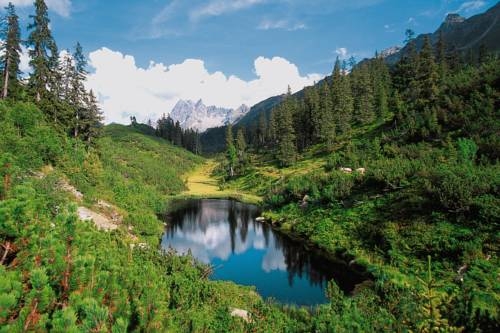 Imagen general del Hotel Hotel Monika. Foto 9