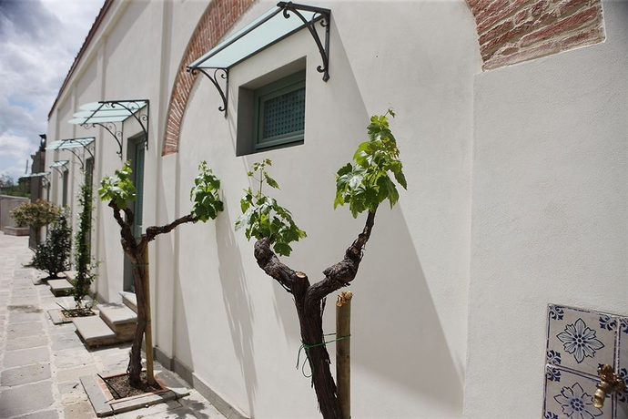 Imagen general del Hotel Hotel Mulino di Firenze. Foto 3